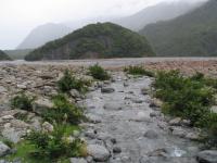 Albums/20060200-New Zealand 2006/20060208-Fox_and_FJ_Glaciers/52